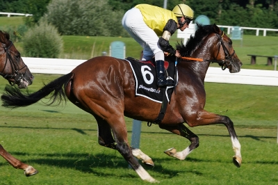 Rennen4_1